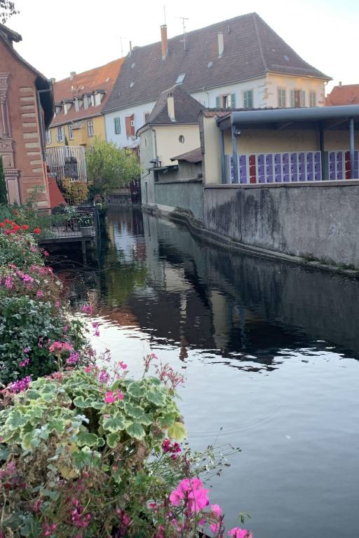 foto20