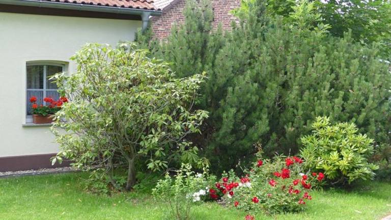 Ferienhaus Bad Saarow