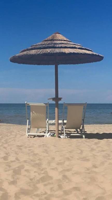 Charming serviced apartment with patio | Close to the beach | Suitable for remote work | Pet-friendly — photo 5
