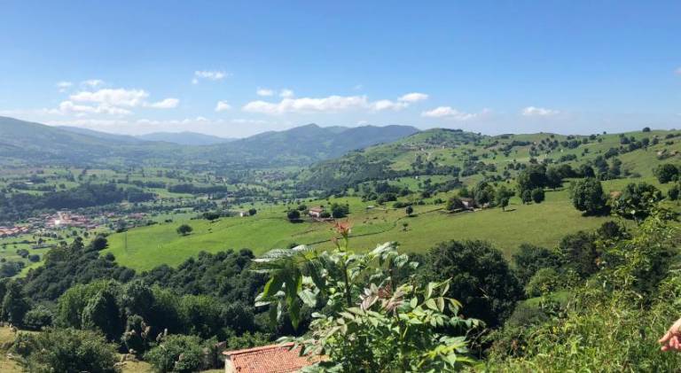 foto41
