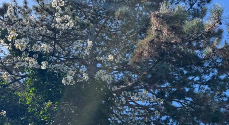 foto19