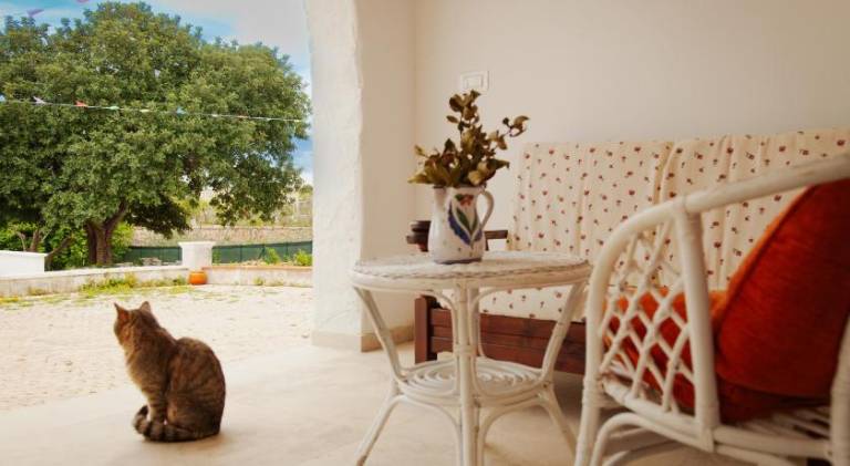 Villa with 3 rooms for 6 persons — photo 4