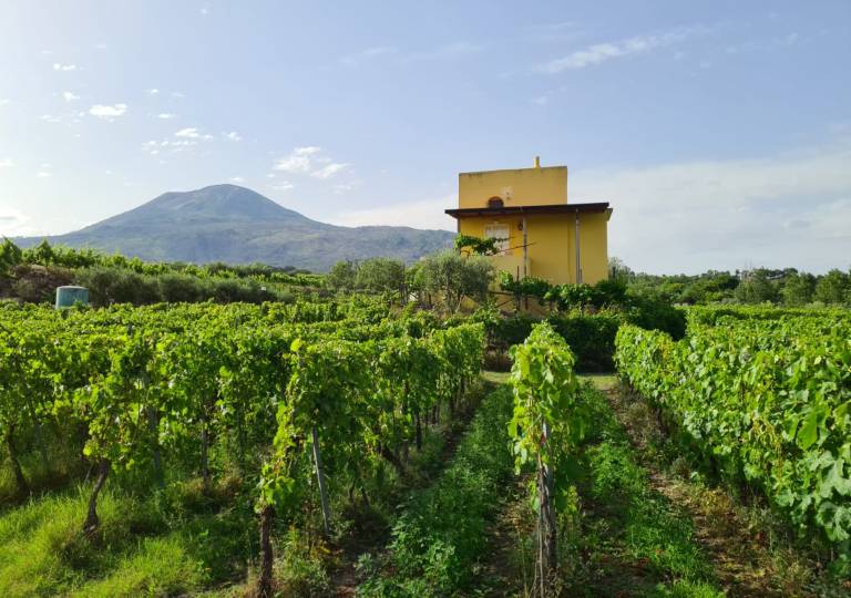 Casale Boscotrecase