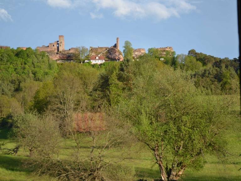 foto21