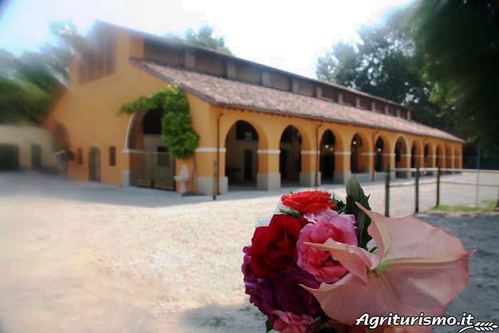 Agriturismo Fenilnovo: Fata Tiglio — photo 5