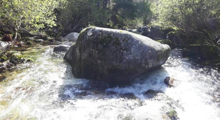 foto42