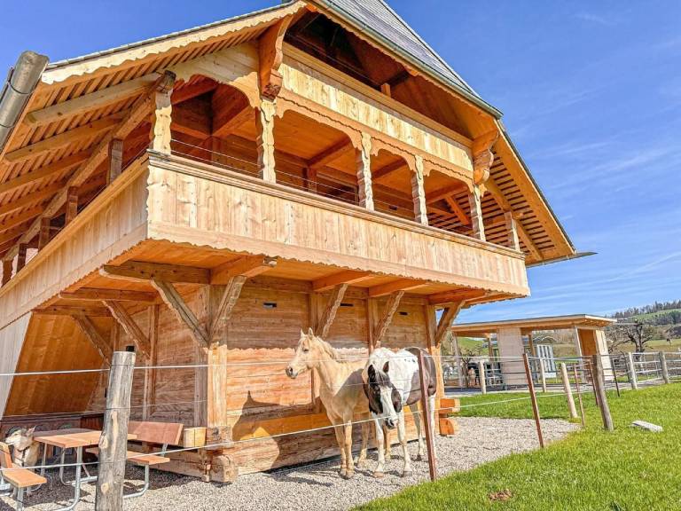 Ferienhaus Rüegsbach