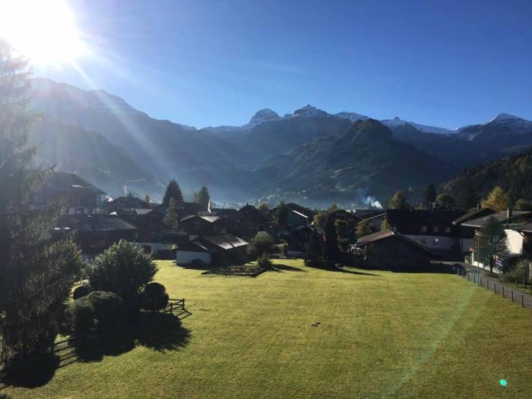 Ferienwohnung  Lenk