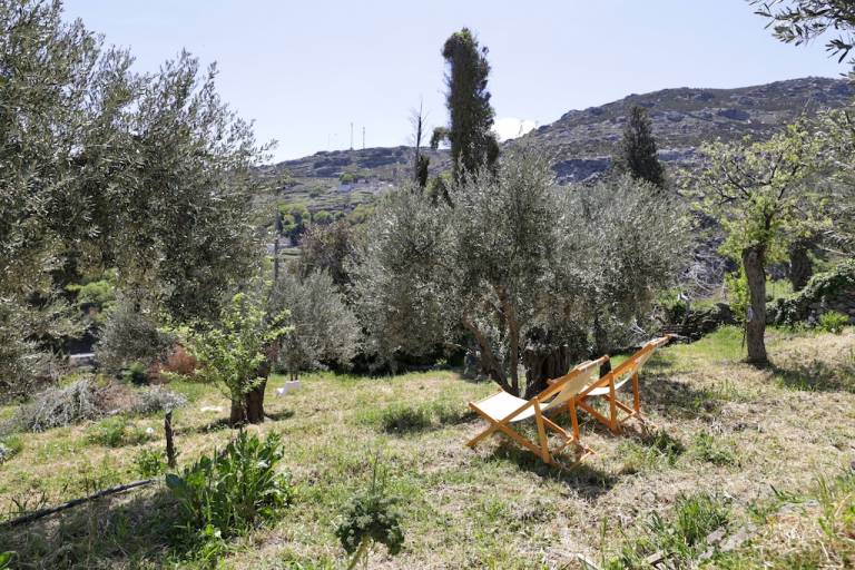 καταφύγιο  Apikia