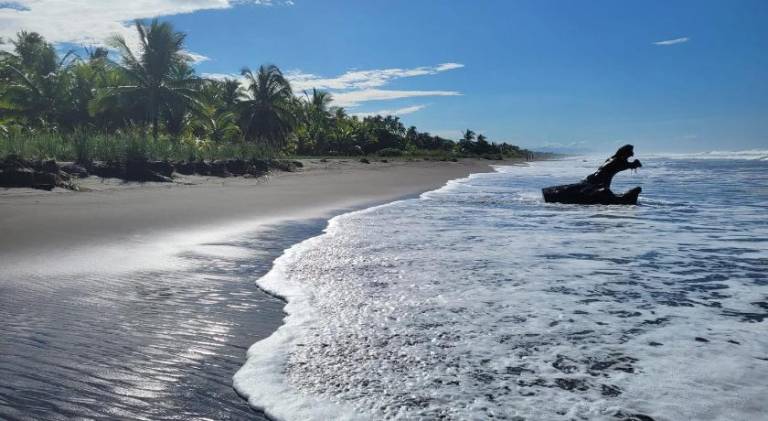 Spacious vacation home with garden & terrace | Suitable for remote work | Dogs allowed in Puntarenas