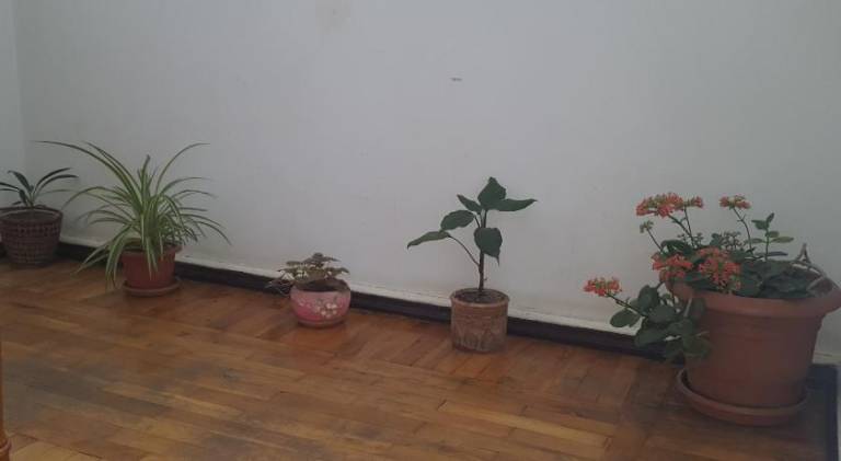 Hostel Mana Kutaisi — photo 4