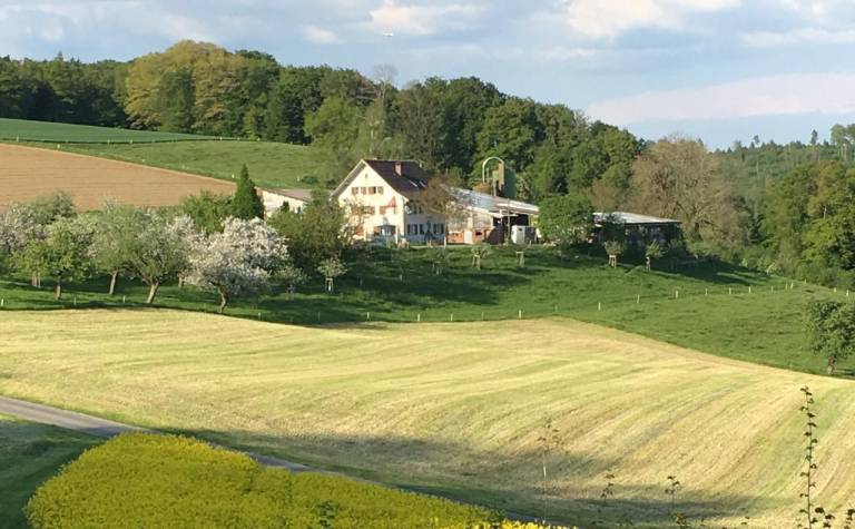 Ferienwohnung Schneisingen