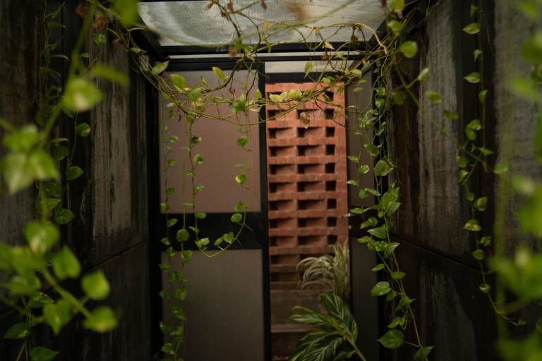 foto8