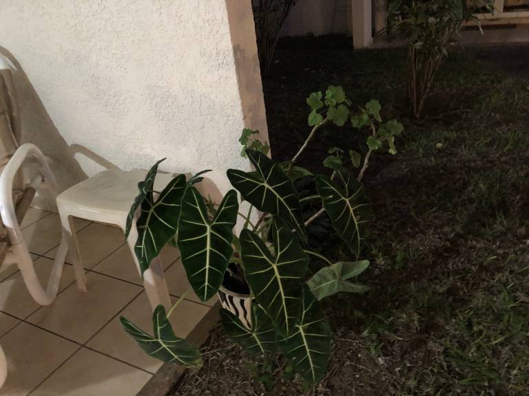 foto27