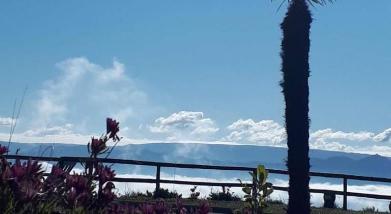Vacation home with yard, BBQ & terrace in Braga