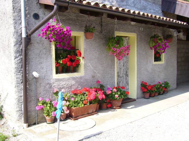 foto17