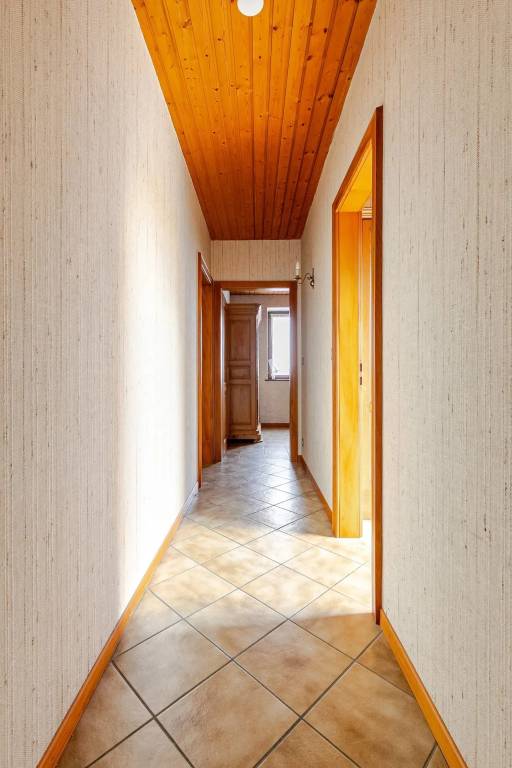 foto19