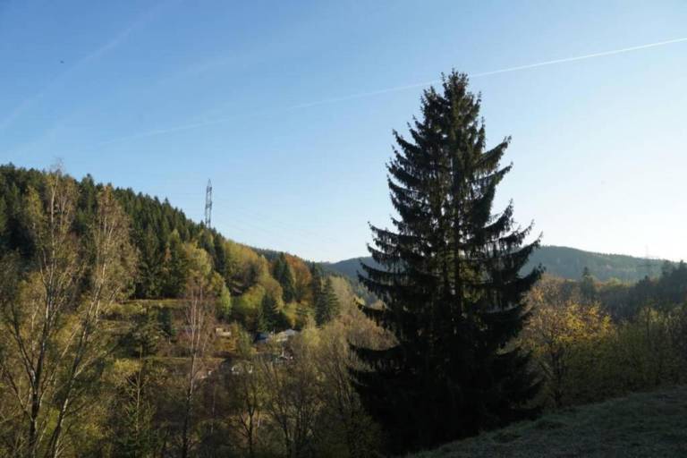 foto23