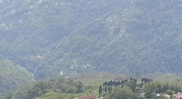 Bastola Stay — photo 5