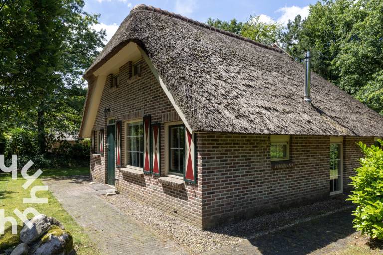 foto19
