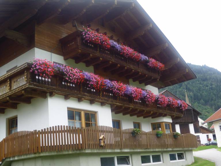 foto20