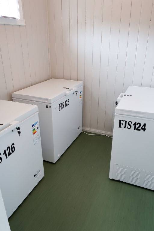 foto15