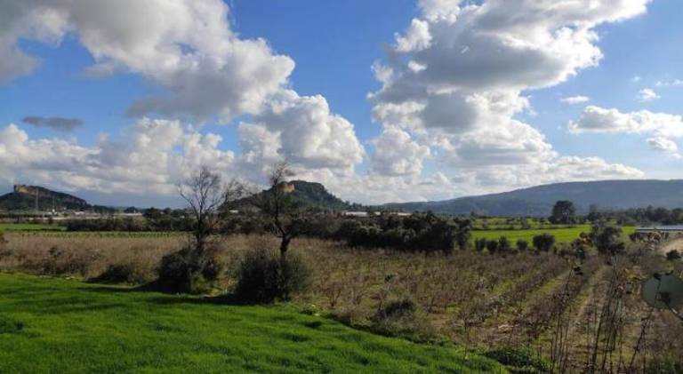 Green farm Camping — photo 4