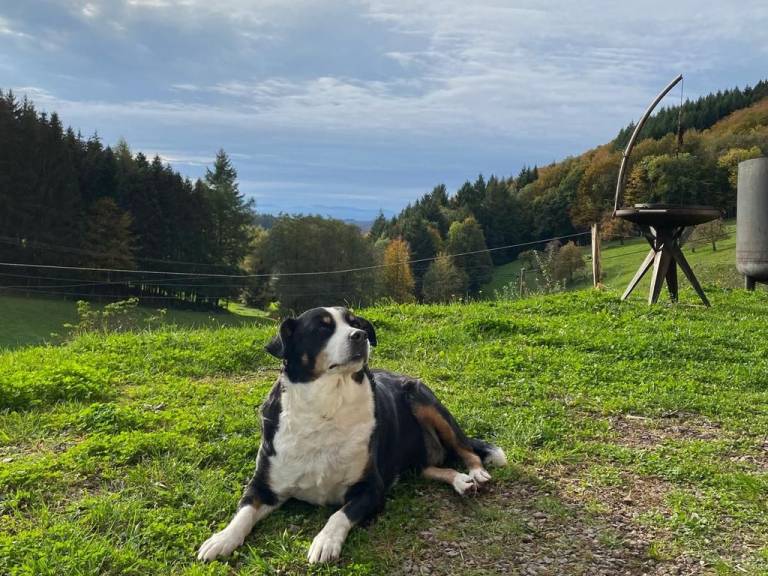 foto11