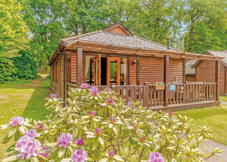 Chalet Tilford