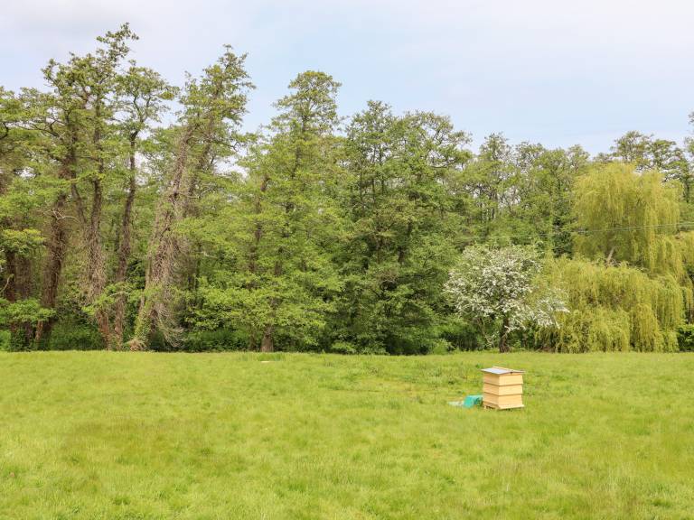 foto25