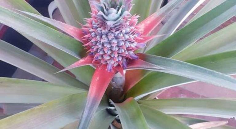 foto10