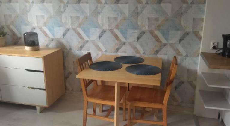 Rental apartment with 1 room for 3 persons — photo 4
