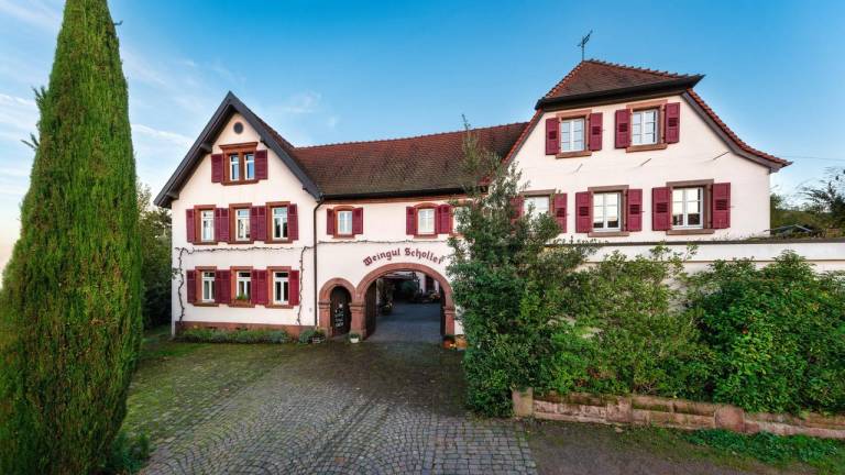 Ferienwohnung Birkweiler
