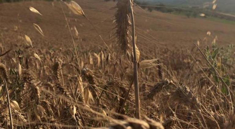 foto41