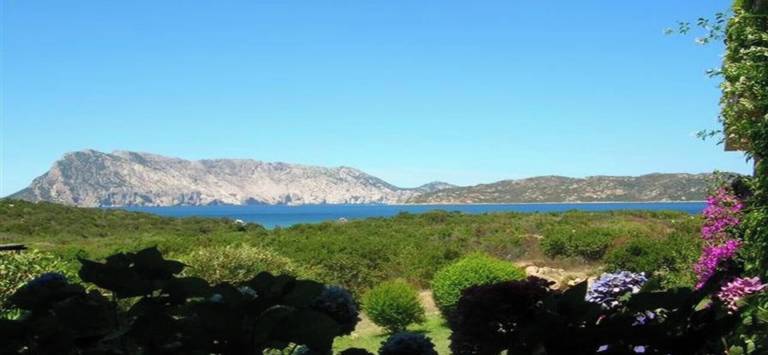Villa San Teodoro