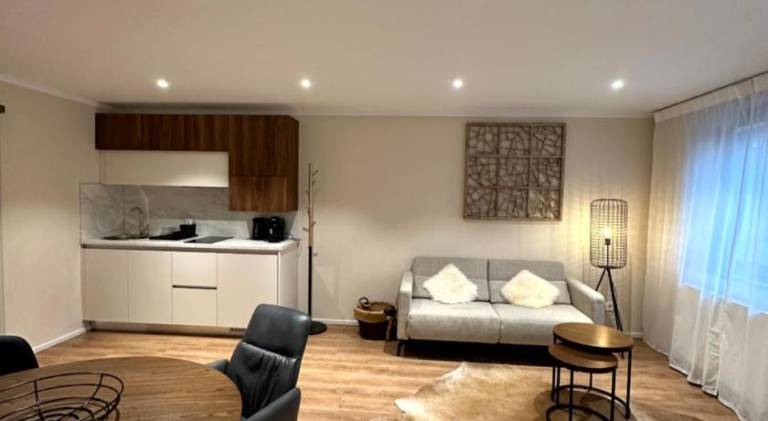 Holiday apartment with terrace | Perfect for remote work in Heilbronn