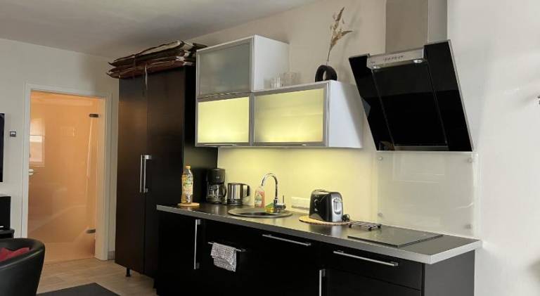 Rental apartment with jacuzzi & pool — photo 3