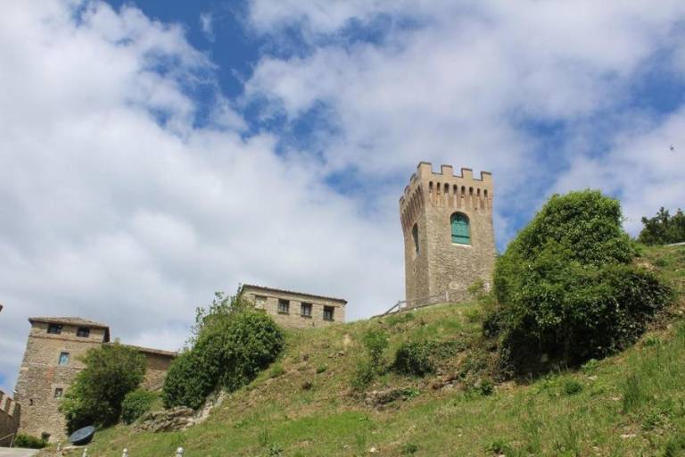 foto19