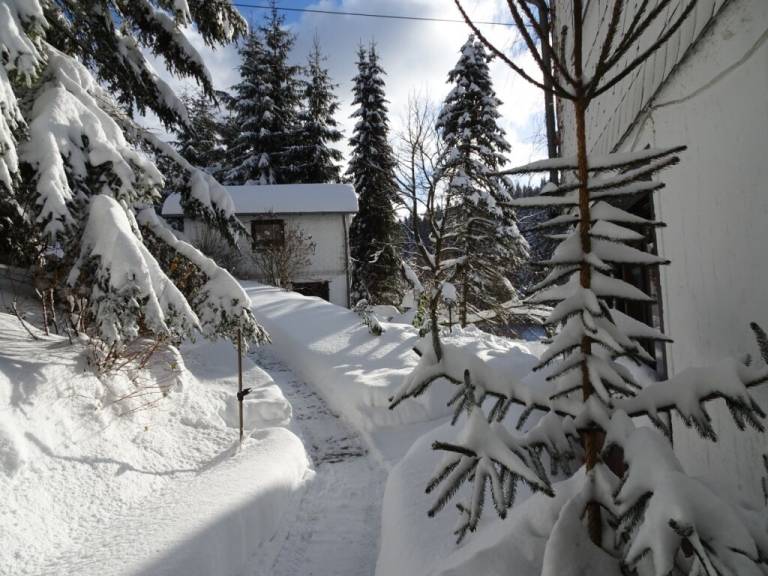 Rental apartment with sauna | Pet-friendly — photo 3