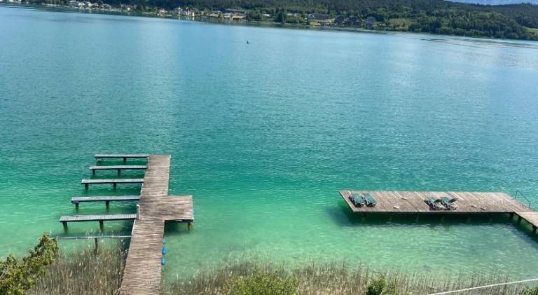 Holiday apartment with patio | Dogs allowed in Poertschach am Woerthersee