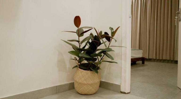 foto41