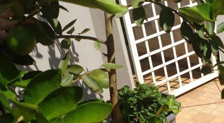 foto14
