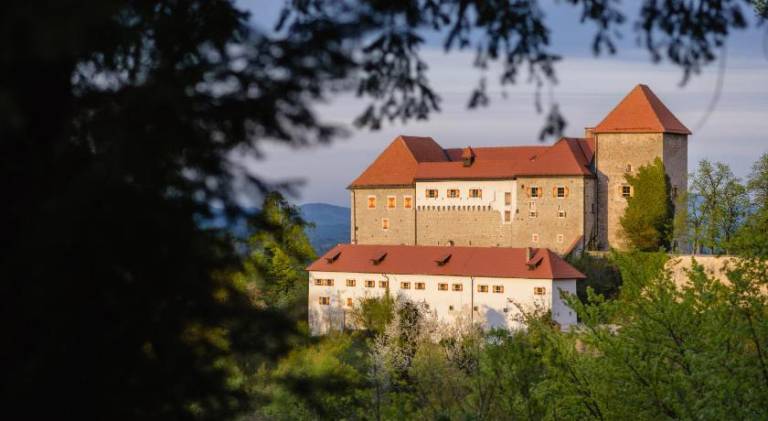 Apartma Podsreda