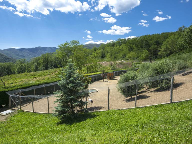 Vacation home with terrace, garden & pool | Nature view — photo 4