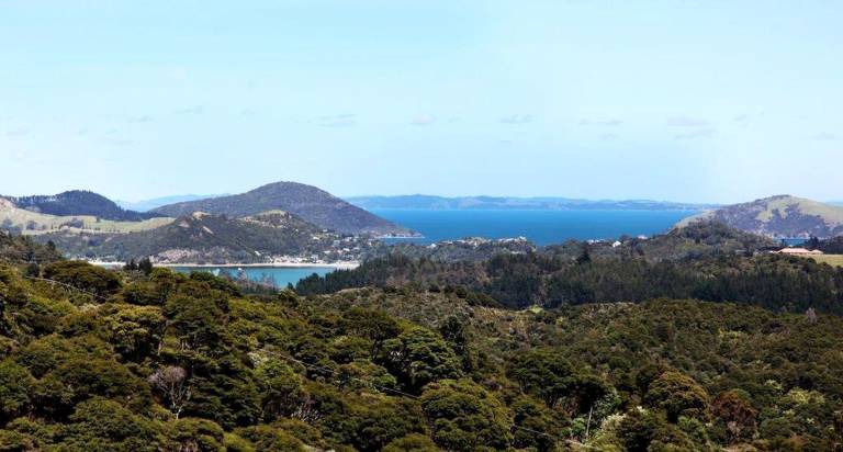 Lodge  Coromandel