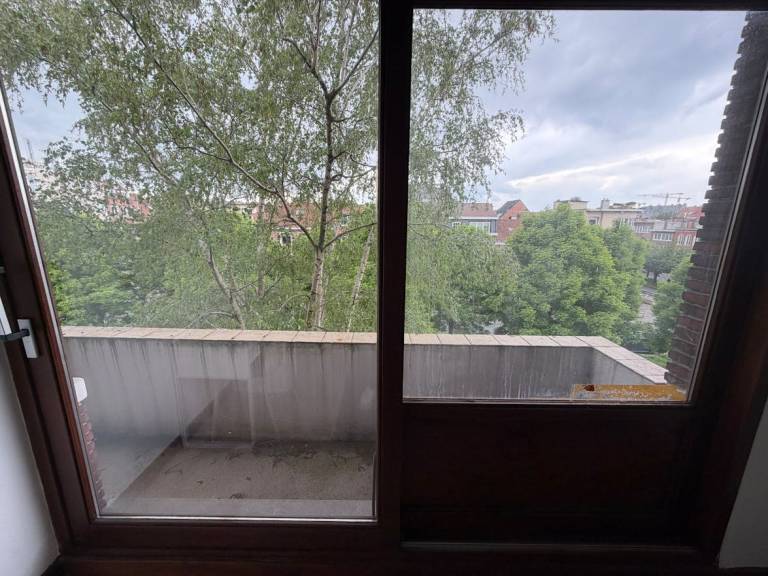 foto2