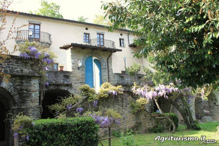 Il Glicine e la Lanterna: Barbara