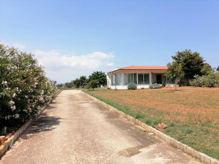 foto41