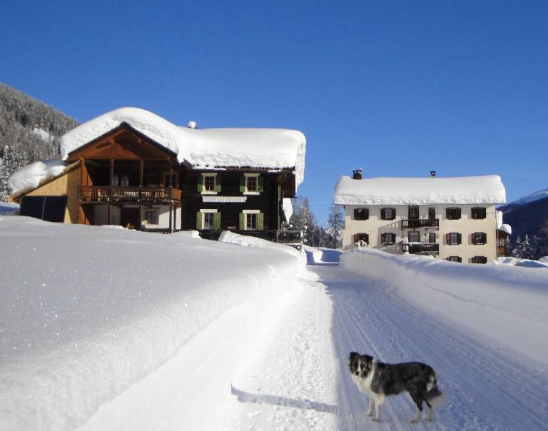Hus  Davos