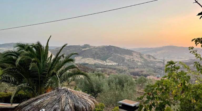 La Casa Delle Olive — photo 4